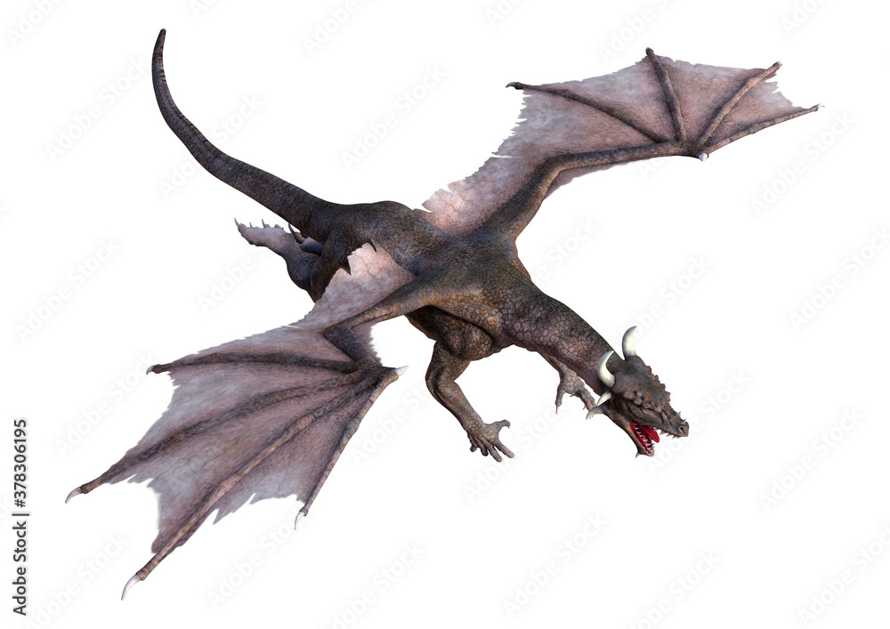 Fototapeta premium 3D Rendering Fairy Tale Dragon on White