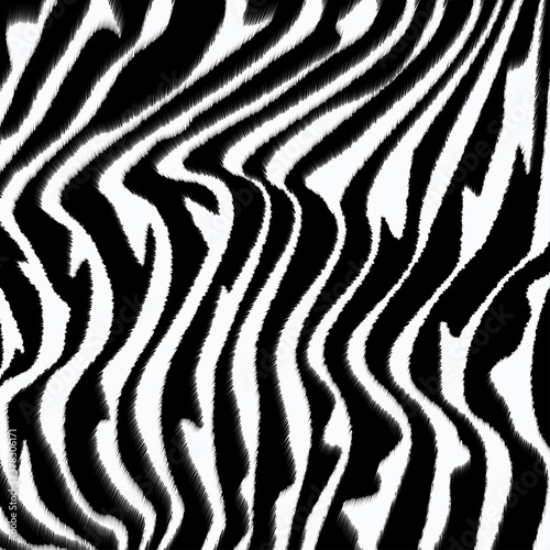 Furry Zebra backrgound