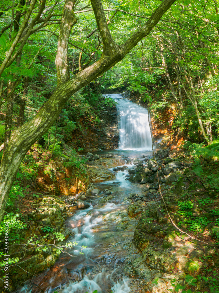 Waterfalls in the forest on mountain (Tochigi, Japan)