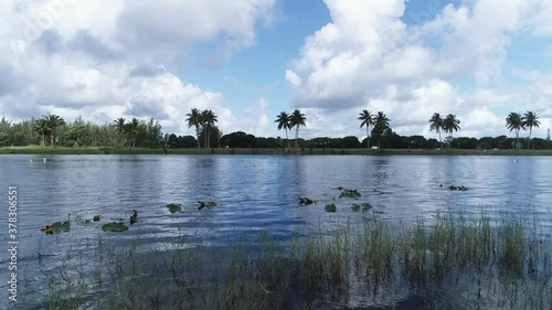 Low angle pan right of a lake via drone at Okeeheelee Park West Palm Beach. photo