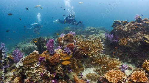 Lipe stoneheange underwater paradise of  undaman sea
