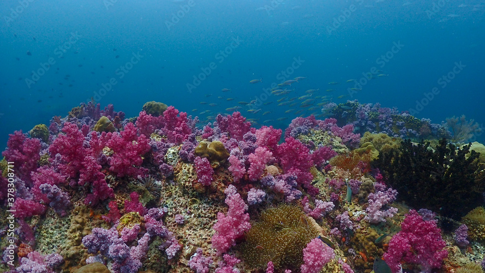 Fototapeta premium Lipe stoneheange underwater paradise of undaman sea