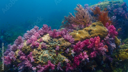 Lipe stoneheange underwater paradise of  undaman sea