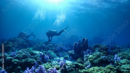 Lipe stoneheange underwater paradise of  undaman sea photo