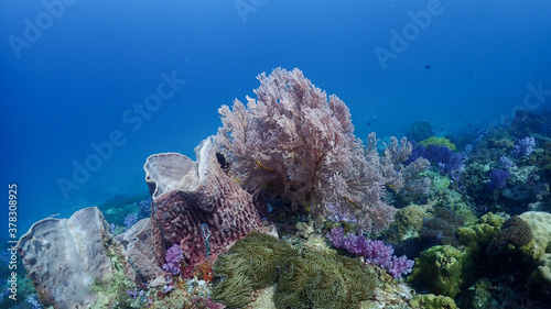 Lipe stoneheange underwater paradise of  undaman sea