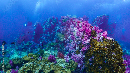 Lipe stoneheange underwater paradise of undaman sea