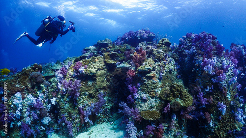 Lipe stoneheange underwater paradise of  undaman sea
