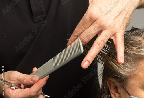 Professional hairdresser cutting a woman's hair