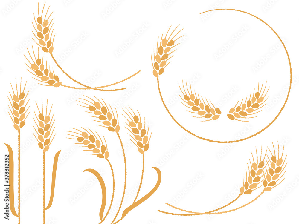 麦の穂」の写真素材 | 66,095件の無料イラスト画像 | Adobe Stock