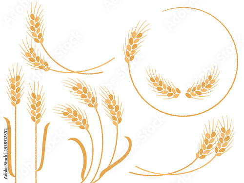 小麦の飾りイラストセット photo