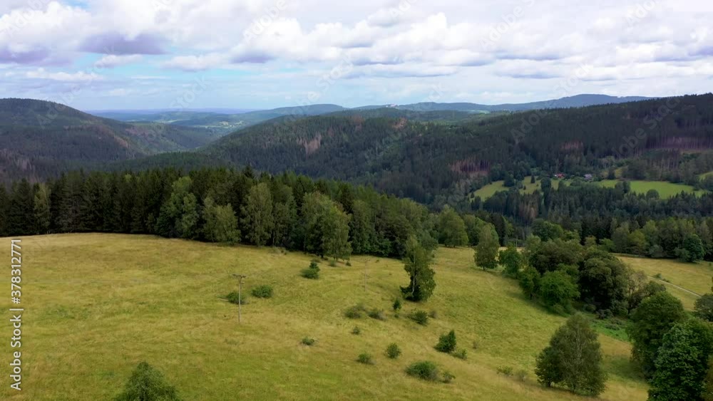 Ariel View auf Forrest Ariel View auf Forrest