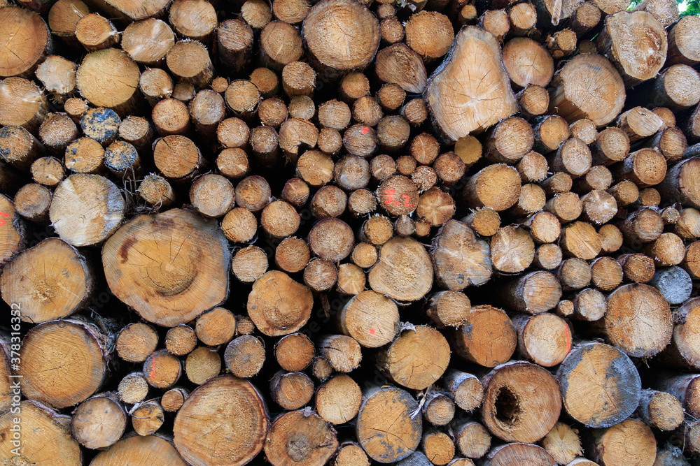 Close up of pile of wooden logs Close up of pile of wooden logs