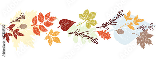 Vector frame of autumn leaves. Decorative element for website design, poster, flyer, print. Natural details, tree components, autumn mood.