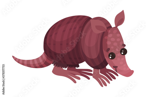 Armadillos with Armored Shell as African Animal Vector Illustration