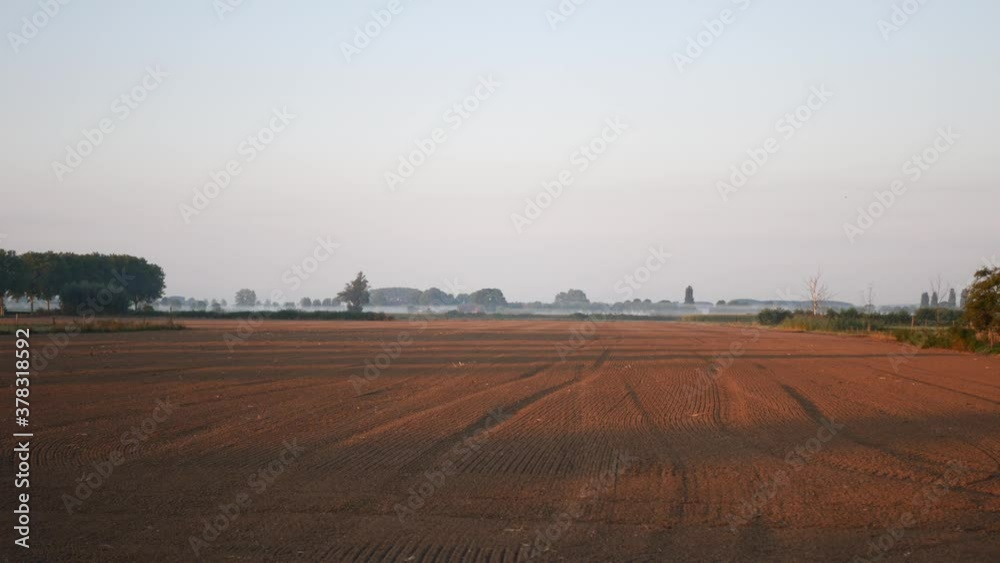Milled field wrapped in a light mist on a summer morning. Panning. Real time 4K Milled field wrapped in a light mist on a summer morning. Panning. Real time 4K