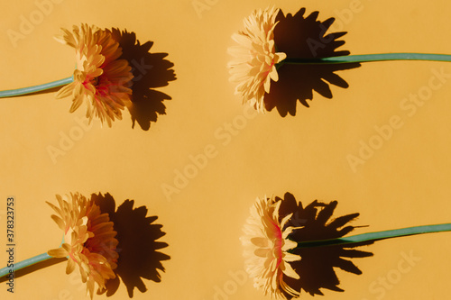 Selective focus of plastic sunflowers on orange background. Concept of onset of autumn and isolation and distance.