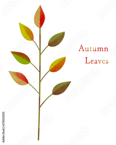 秋_バイカラーの紅葉した植物_水彩＆切り絵風イラスト