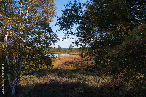 Sumpflandschaft im Hohen Venn mit Wassertümpeln - Brackevenn bei Mützenich © Gaby Recker