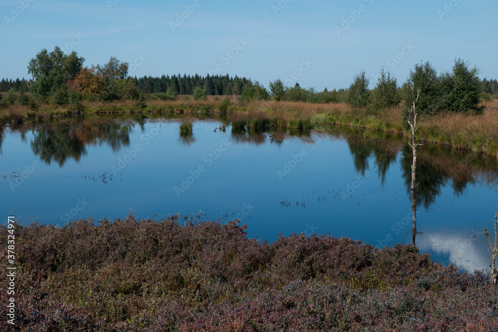 Sumpflandschaft im Hohen Venn mit Wassertümpeln - Brackevenn bei Mützenich