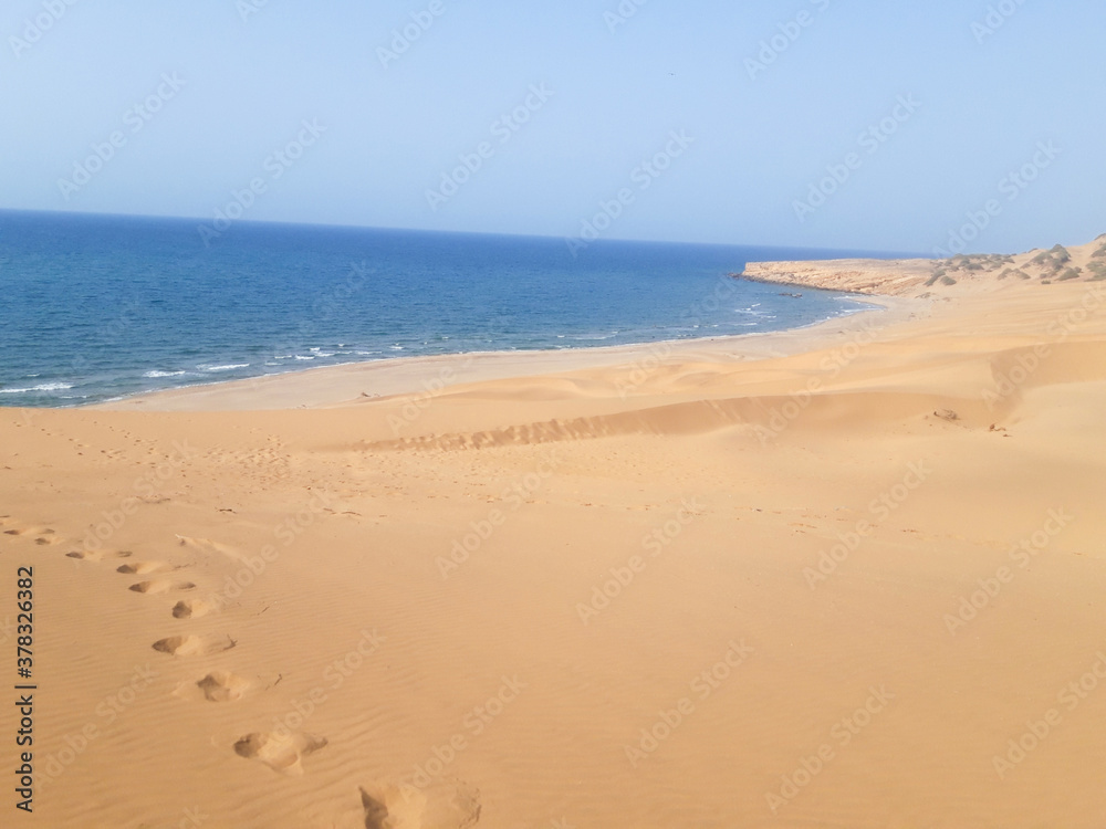 Panorama landscape of sand dunes system on beach