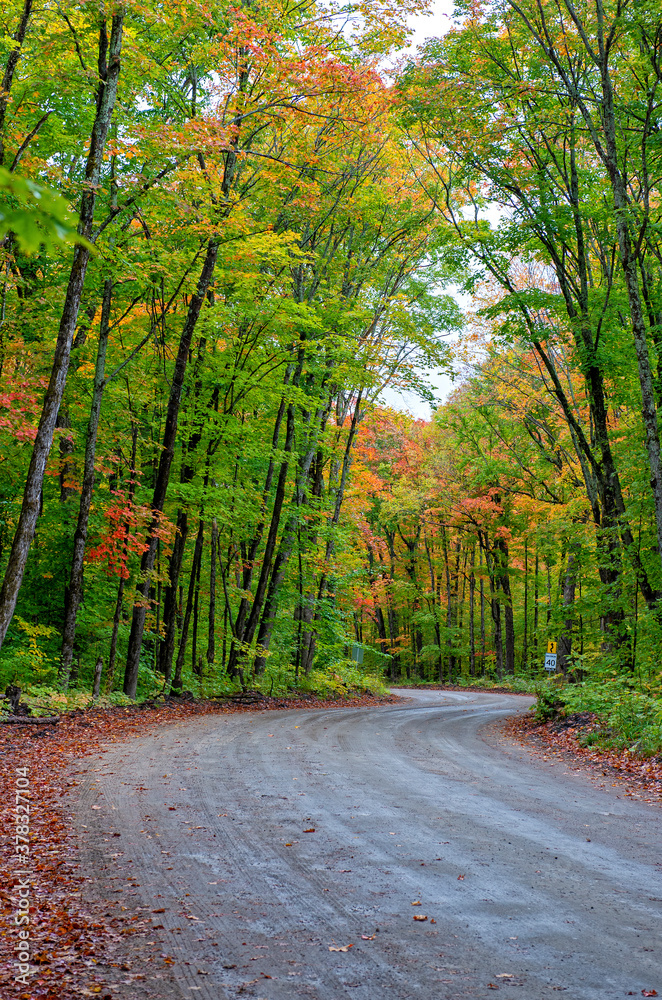 Fototapeta premium wet dirt road in fall forest