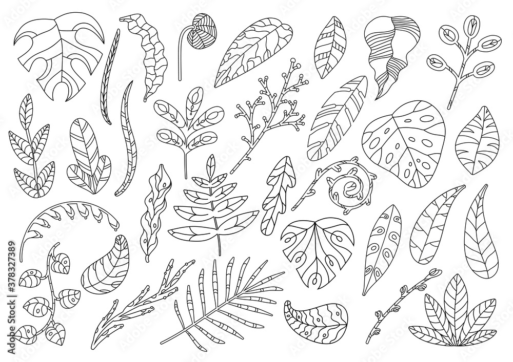 Set of decorative leaves and floral elements. A collection of hand-drawn twigs and leaves. Vector illustration