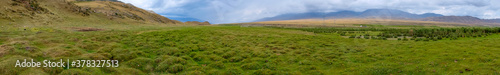 Green grass tussocks on mountain valley. Beautiful natural landscape. Tourism concept. Beautiful natural wallpaper. Borokhudzir line, Kazakhstan.