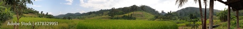 Thailand Rice Fields, Asian Farm, Asian Rice Fields