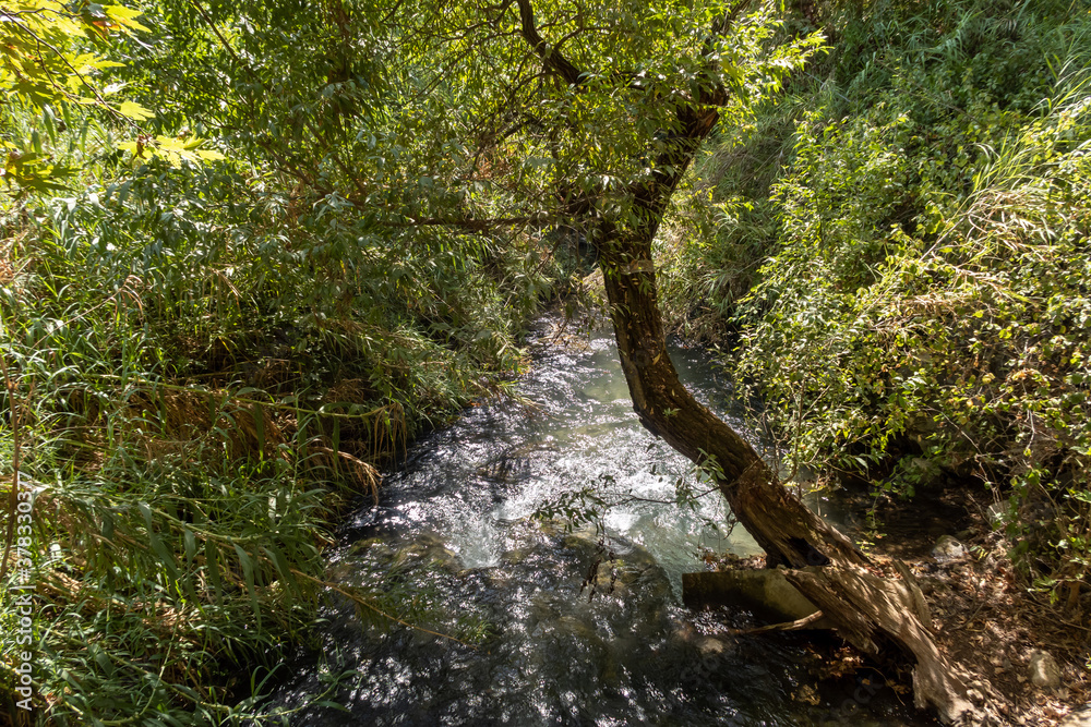 Obraz premium The bed of the swift mountainous Hermon River with crystal clear waters in the Golan Heights in northern Israel