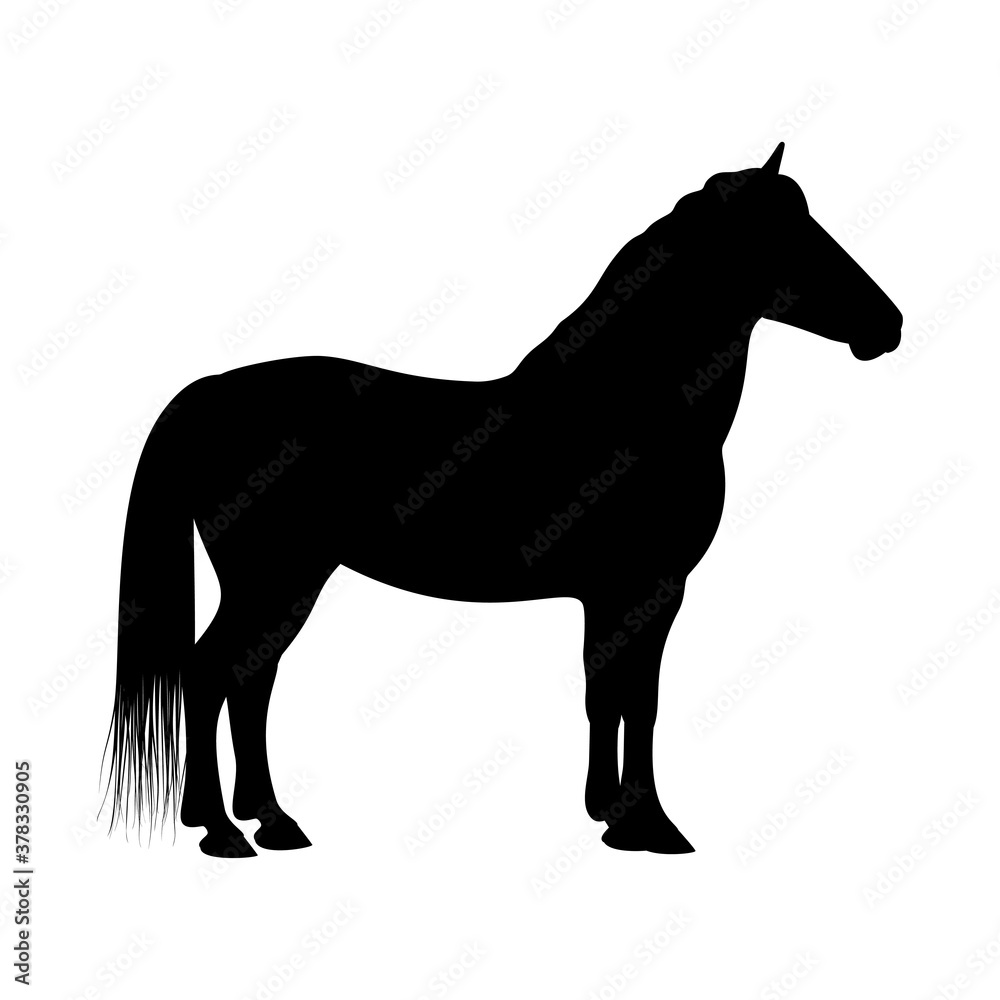 The black silhouette of one motionless horse is isolated on the white background.