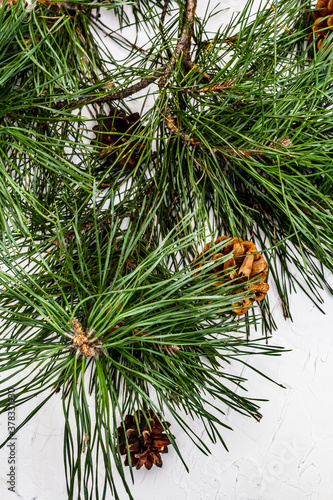 Fresh pine branches and pine cones for Christmas or New Year concept