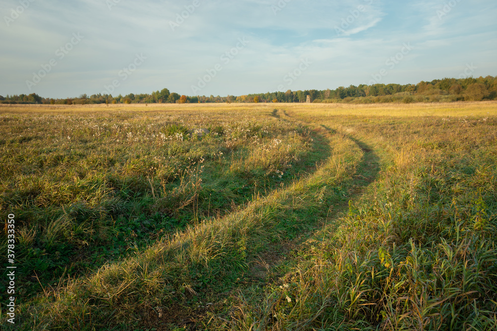 Ground road through a wild meadow in autumn
