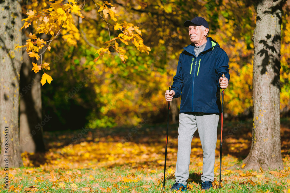 Old man resting in autumn park after nordic walking. Senior athlete outdoors