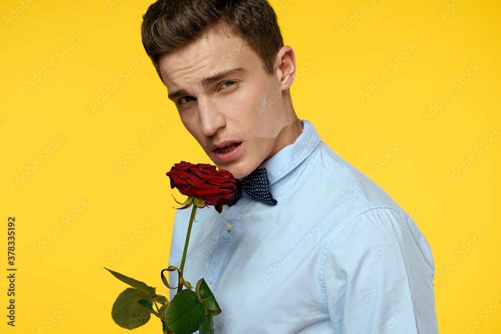 Portrait of a man with a red rose on a yellow background and a light shirt bow tie gentleman Portrait of a man with a red rose on a yellow background and a light shirt bow tie gentleman
