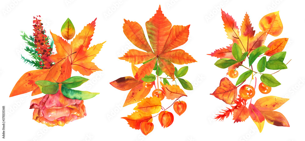 A set of autumn bouquets, watercolor fall floral arrangements for greeting cards, posters, or wedding invitations, isolated on a white background, rose, chestnut leaf, and maple leaf
