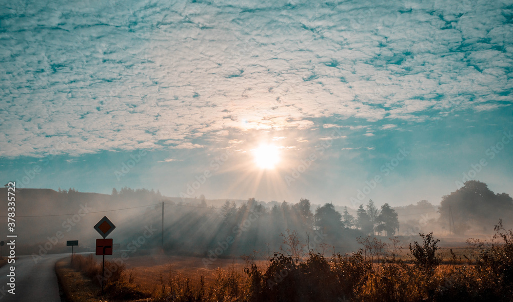 Fototapeta premium Sunrise in the fog
