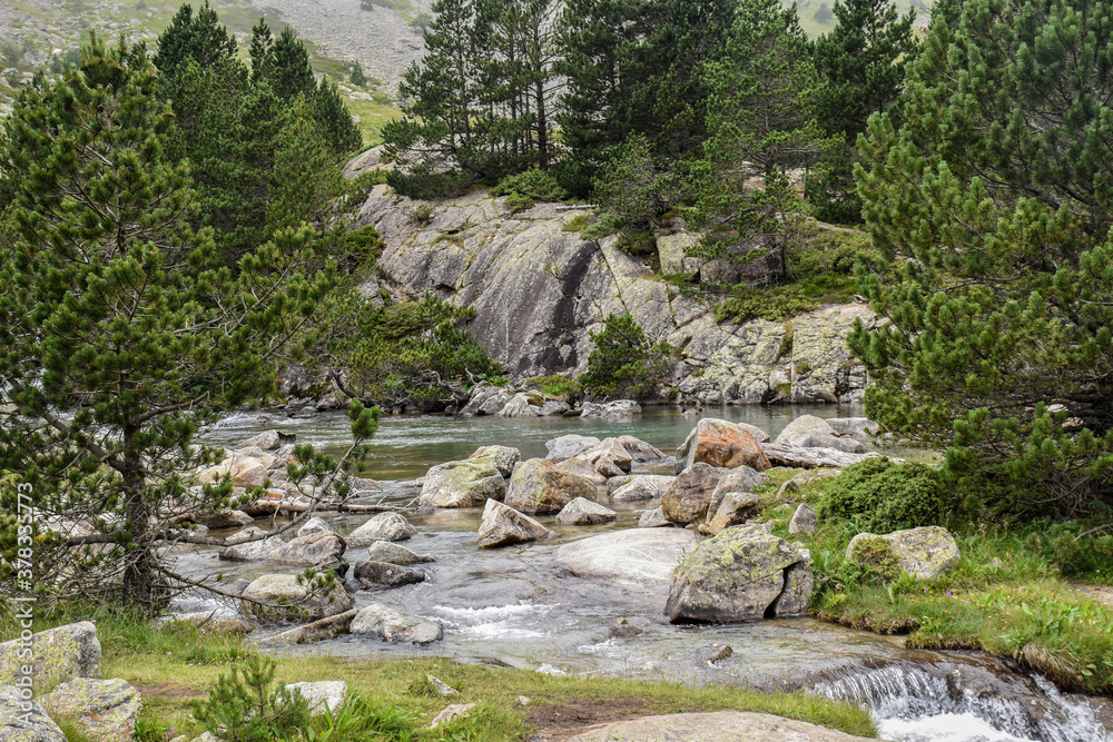 Turquoise water river surrounded by natural landscape of trees and mountains Turquoise water river surrounded by natural landscape of trees and mountains