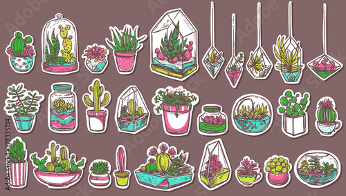 Potted cacti and succulents hand drawn stickers set. Indoor foliage plants in glass hanging flowerpots doodle patches pack. Decorative tropical houseplants, agave and aloe illustrations collection