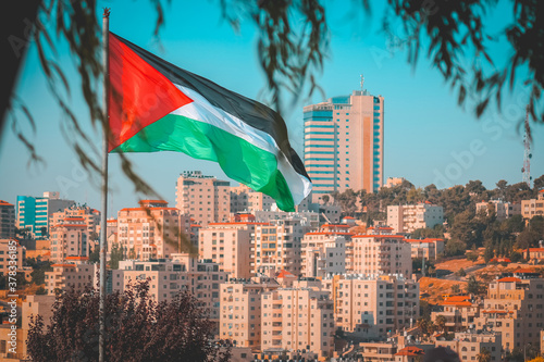 Bild auf Leinwand Palestinian flag as through the tree leaves