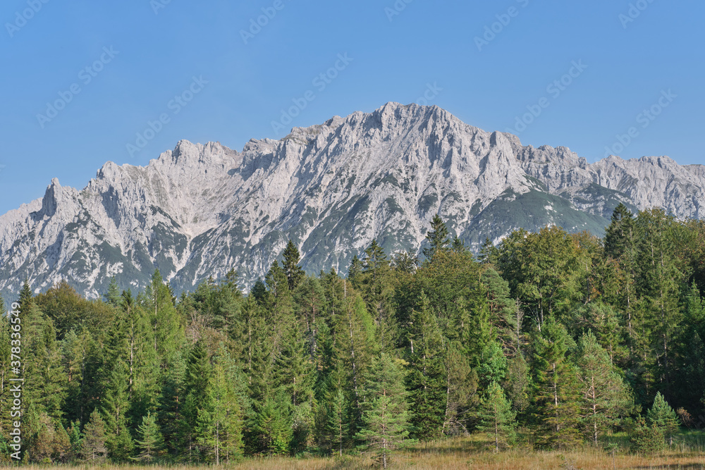 Peak of the Alp mountain and green forest in Mittenwald, Bavaria, Germany