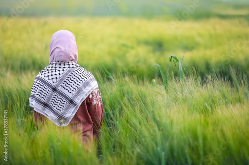Konstfotografi Rear view of Palestinian farmer female girl standing amidst fresh green plants o
