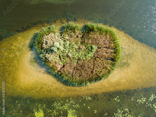 Aerial drone view. Small round island on the river. There are bushes on the island. There is an oblong shallow near the island.