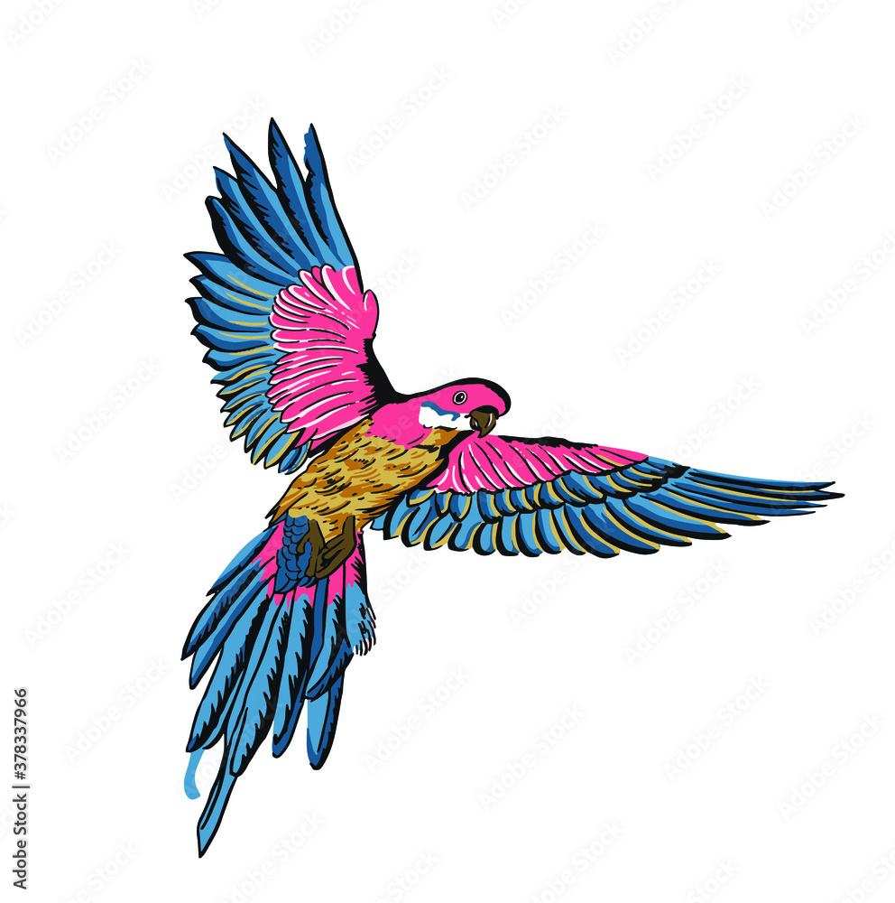 Tropical parrots. Vector isolated element on the white background.