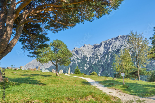 View of Alp mountains with trees in front. Mittenwald, Bavaria, Germany photo