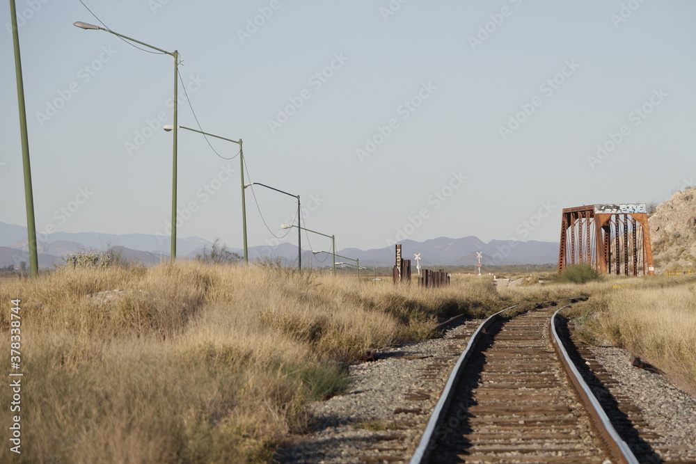 Obraz premium Sonora