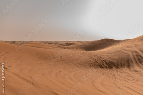 sand dunes in the desert