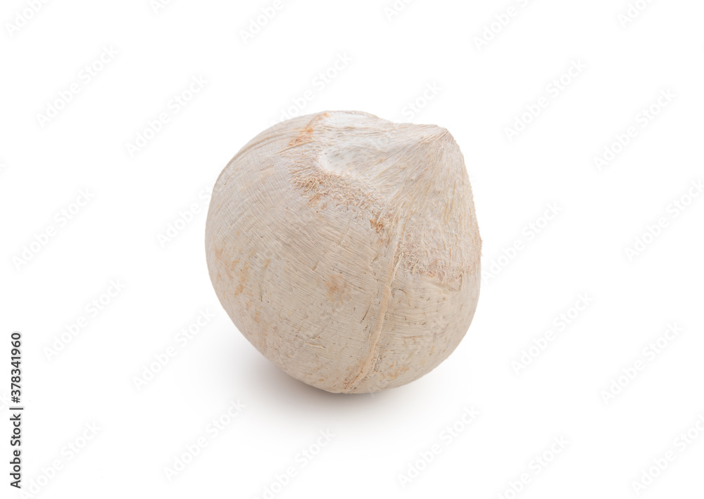 fresh coconut on white background fresh coconut on white background