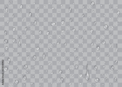 transparent water drops isolated on dark background
