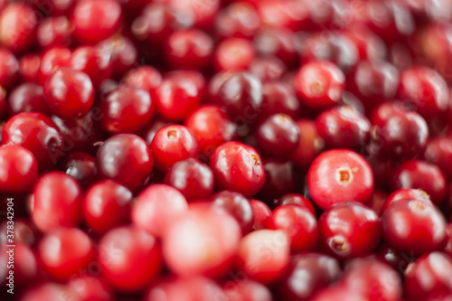 Cranberry. Small forest red berry. A scattering of cranberries. Vitamins from nature