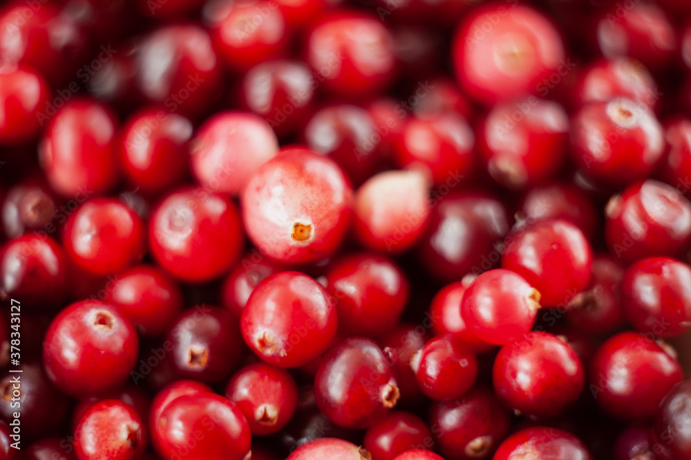 Cranberry. Small forest red berry. A scattering of cranberries. Vitamins from nature Cranberry. Small forest red berry. A scattering of cranberries. Vitamins from nature